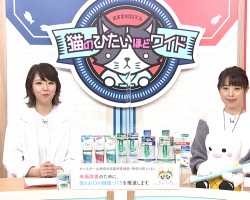 tvk猫のひたいほどワイド　10月のテーマは、生活習慣病と歯周病の関係」です！